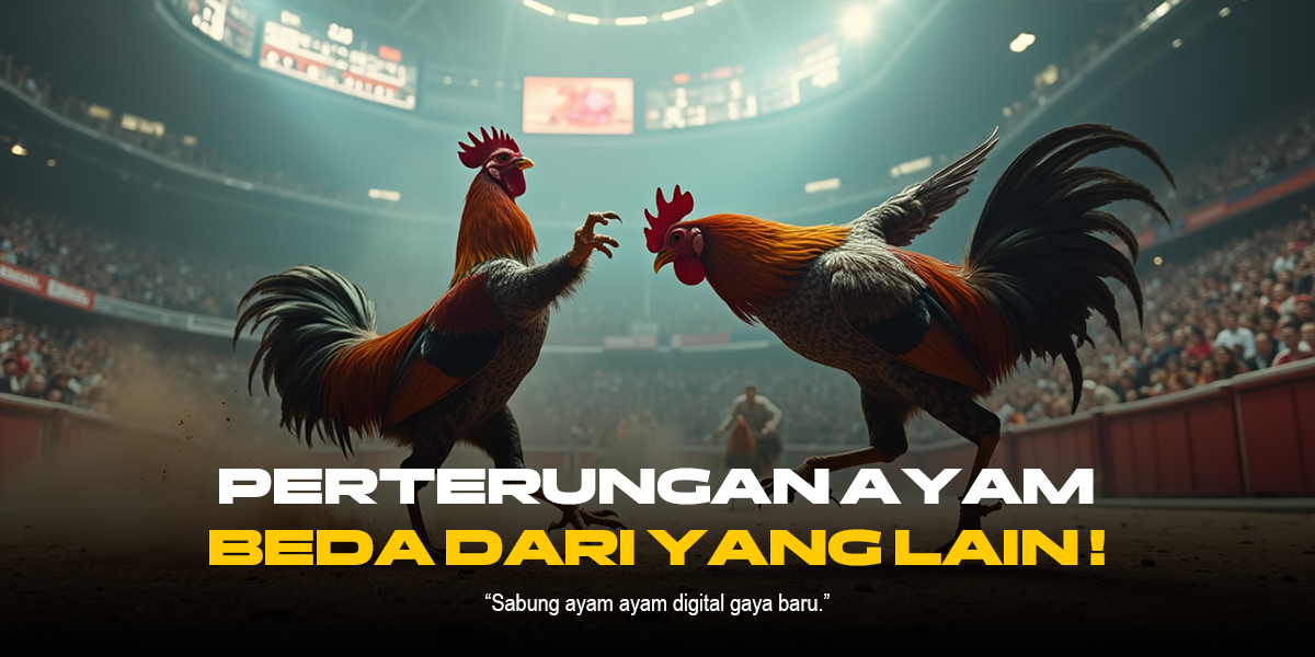 Ketahui Jenis Ayam dan Odds di SV388 Sabung Ayam