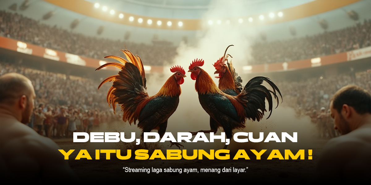 Mengenal Jenis-Jenis Ayam di Sabung Ayam SV388 yang Paling Dicari