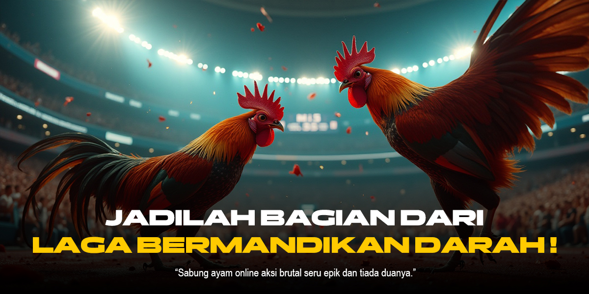 Mengupas Tuntas Sabung Ayam SV388: Jenis Ayam, Odds, dan Provider Terpercaya