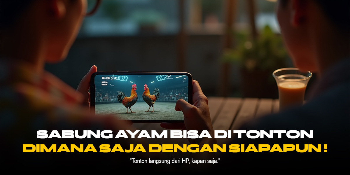 Mengenal Ayam Bangkok: Raja di Dunia Sabung Ayam Online